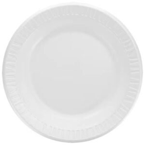 FOAM-10-PLAIN-FOAM-PLATE-DART-500