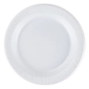 FOAM-9-PLAIN-FOAM-PLATE-DART-500