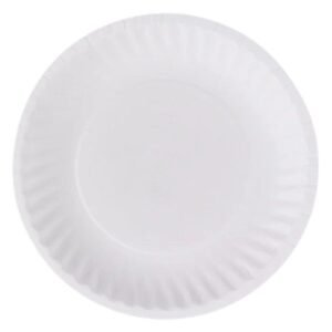 PAPER- 6-PLAIN-PAPER-PLATE-1200