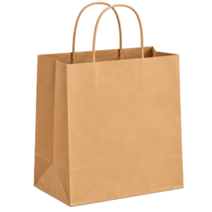 PAPER-BAG-PAPERBAG-HANDLE-MEDIUM-250