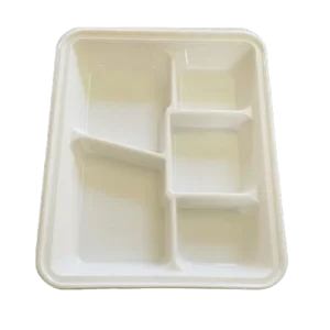 PLASTIC-5COMP-PLAST-PLATE-300